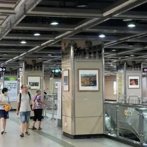 第十二届“沣标杯”听障摄影展在文化公园地铁站展出