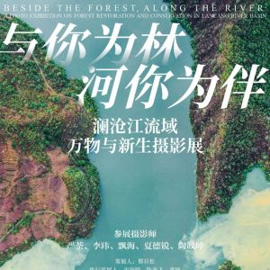 《与你为林，河你为伴》摄影展开幕，国际环保机构绿色和平呈现澜沧江流域森林修复故事 ...