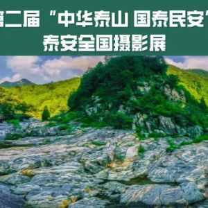 征集 | 第二屆“中華泰山 國泰民安”泰安全國攝影展