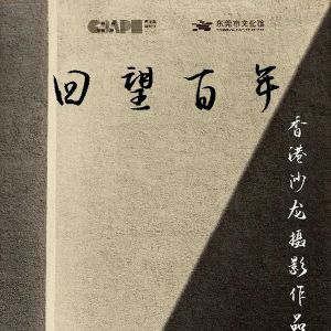 粤港澳摄影季丨定格光阴往事，香港百年沙龙摄影展