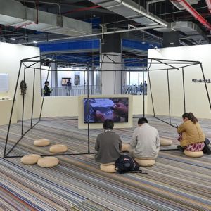 2024集美·阿尔勒发现奖：回到摄影最初动人的模样向前走