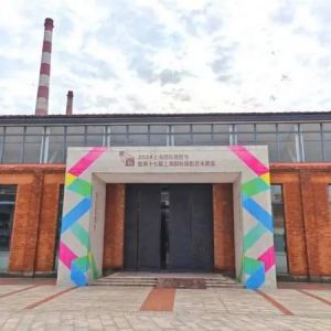 这场光影盛会本周五开幕，主办方欢迎市民朋友参观打卡