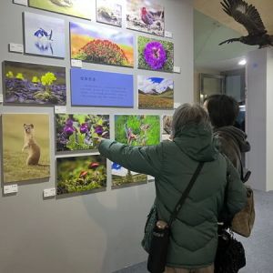 三江源国家公园野生动物摄影展在京亮相