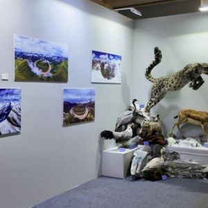 “三江源国家公园——野生动物的天堂”主题摄影展开展