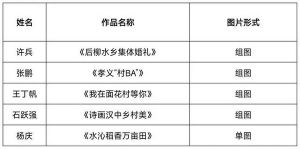 “遇见和美乡村”优秀作品摄影展评选结果