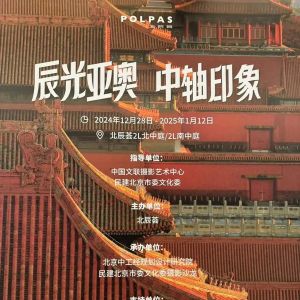 中轴线、日照海、野生物、好生活…… | 本周值得一看展览