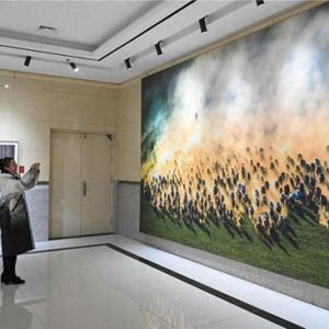 120幅骏马摄影作品在呼和浩特展出