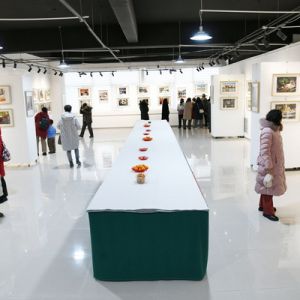 集宁区第四十四届“虎山春”群众文化系列活动之摄影展开展 ...
