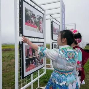 “团结花开彩云南珠江源头石榴红”主题摄影作品展在罗平县举办 ...