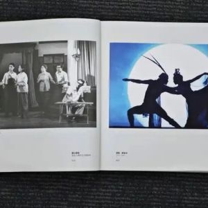 沈伟民：一座跨越时空的回音壁——看《祖忠人舞台艺术摄影集》 ...