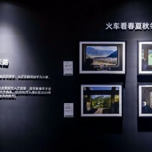2024 微博影像年收官，556万幅作品见证全民影像狂欢