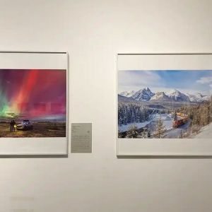 用镜头探寻自然之美！《自然奇观》国际摄影艺术作品展在重庆两江新区启幕 ...