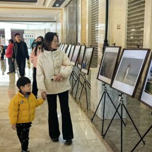 巾帼风采丨乌海市“民族团结一家亲·巾帼魅力耀乌海”主题摄影展开展啦！ ...