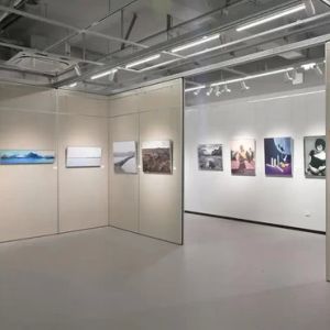 “显影——浙江财经大学摄影专业20周年特展”启幕
