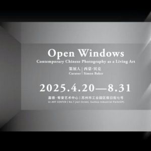 观展指南｜以破窗之势**新摄影，在光影中感受皮影戏魅力 ...