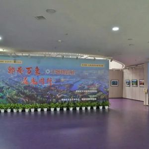 五一看展|“郫都万象.逐光同行”摄影展开幕，邀你领略影像艺术 ...