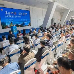“美丽中国 遇见巴中”大型摄影书法美术作品展在成都开展