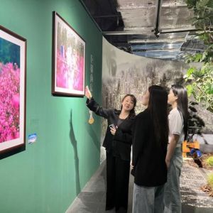 “大美伊春·魅力丰林”四季风光摄影作品展上海站开幕