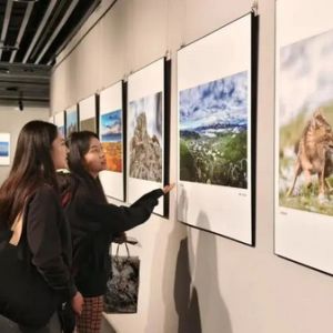 “生态视界”主题系列摄影作品展
