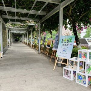 《寻春觅夏》 摄影展来啦
