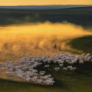 2025年第十四屆臺中國際攝影藝術展覽（中國臺灣） 結果揭曉