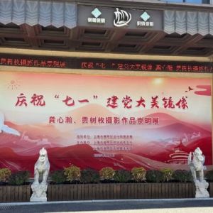 崇明这里有场摄影展，等你来参观