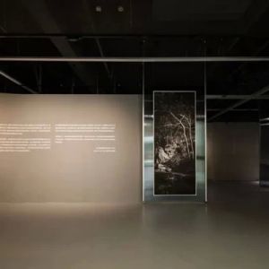 杭州摩崖石刻摄影长卷作品展启幕