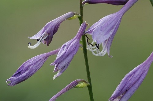 _S6A7693.JPG
