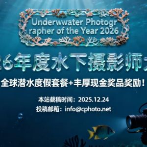 全球潛水度假套餐+豐厚現金獎品獎勵！2026年度水下攝影師大賽 ...
