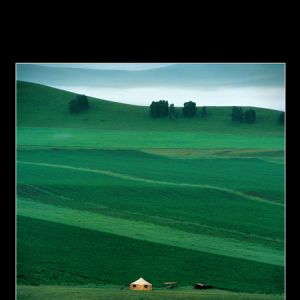 徐向東《壩上》丨2005中國·麗水國際攝影文化節(jié)攝影作品展覽——中國攝影在線網(wǎng)站 ...