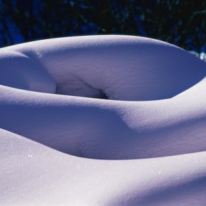 羅玲《冬日》丨2005中國·麗水國際攝影文化節(jié)攝影作品展覽——中國攝影在線網(wǎng)站 ...