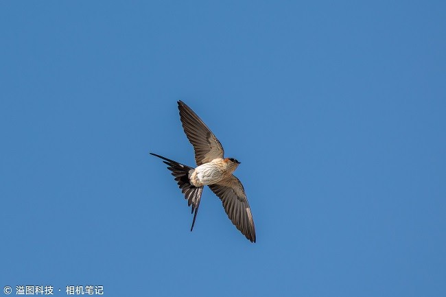 ETR39958_2000_溢图.jpg