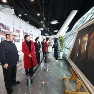 駿影流光：馬年新春藝術(shù)展在烏魯木齊市文化中心開展