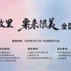 影像賦能文旅 鏡頭聚焦上栗｜“花炮故里‘栗’來很美”全國攝影展啟幕 ...