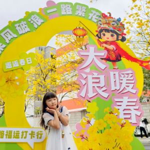 百米黃花織金毯，非遺麒麟躍春潮！大浪社區“花海+”解鎖居民幸福感 ...