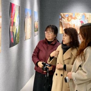寧夏女?dāng)z影家作品展亮相銀川美術(shù)館