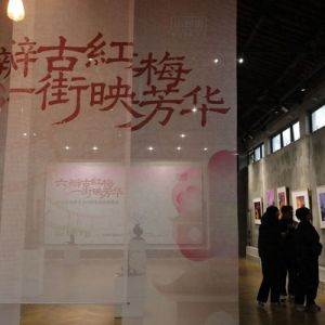 “六瓣古紅梅 一街映芳華”攝影展亮相湖州小西街