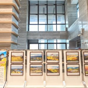 漢中市圖書館舉辦2026最美油菜花海攝影展