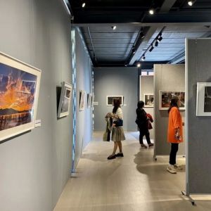 “湖濱春城 山水花都”主題攝影展定格昆明湖城共生之美