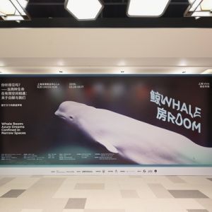 上海舉辦白鯨主題公益藝術(shù)展：以多元藝術(shù)喚起對(duì)生命與共生的關(guān)注 ...
