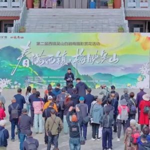 西鎮吳山第二屆白鵑梅攝影賞花活動舉辦