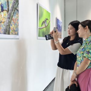 云南德宏州舉辦首個邊境農民生態安全攝影展