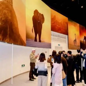 世界地球日，頂尖商圈辦起野生動物攝影展