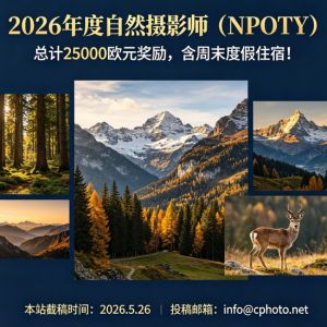 總計25000歐元獎勵，含周末度假住宿！2026年度自然攝影師（NPOTY） ...