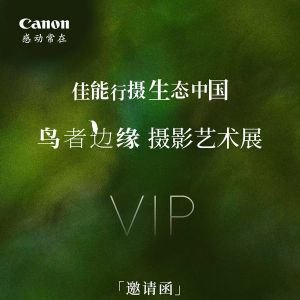 6月6日展讯丨佳能行摄生态中国影像盛典暨【鸟者·边缘】鸟类摄影艺术展 ... ...