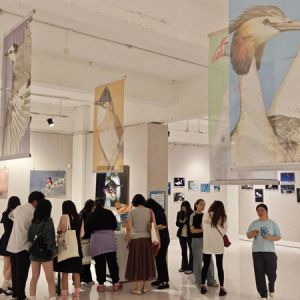 见证生态之美 探索影像创新：“天空下的羽翼”生态摄影作品展启幕 ...