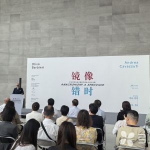 破界线性时空 构建跨文化对位：“镜像错时”中意摄影展在苏启幕 ...