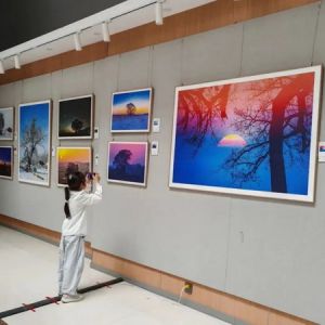“时光木语·生态松原”2026古树摄影展