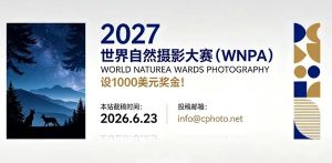 设1000美元奖金！2027世界自然摄影大赛（WNPA）