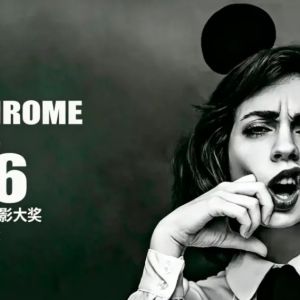 精装年度画册刊登！2026第五届单色摄影大奖